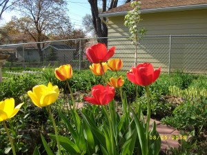 SANYO DIGITAL CAMERA